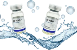 DS NAD+